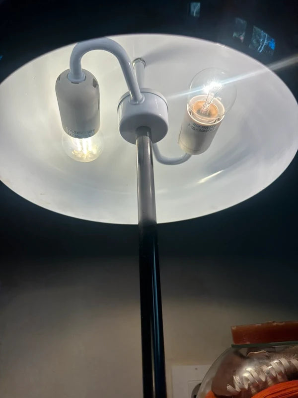 Retro Black Metal Mushroom Table Lamp - Dual Light Design